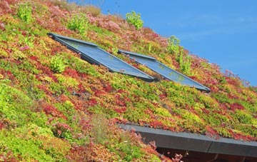 Doxey living roof systems