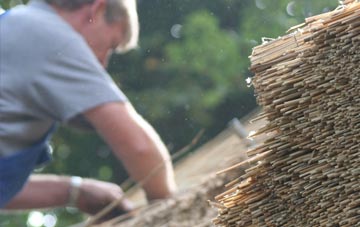 professional Doxey thatchers