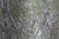 Doxey fibreglass roof work